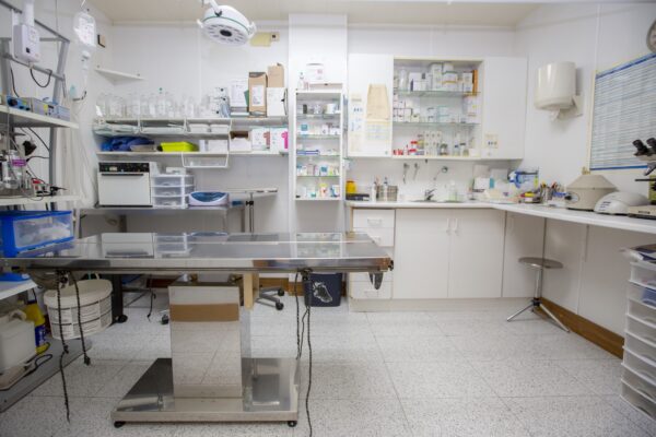 CENTRE VETERINARI SANDY - Imagen 2